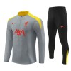 Liverpool Criança Sweat de Treino Quarto-Zíper 24/25 Cinza