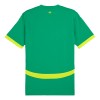 Camisola Senegal Homen Equipamento 2ª 24/25