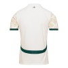 Camisola Costa do Marfim Homen Equipamento 2ª 24/25
