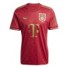 Camisola FC Bayern de Munique Anniversary Homen 24/25