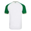 Camisola Irlanda Homen Equipamento 3ª 24/25