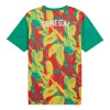 Camisola Senegal Pre-Match Homen 24/25