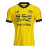 Camisola Hellas Verona Homen Equipamento 4ª 24/25