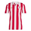 Camisola Olympiakos 100th Anniversary Homen 24/25