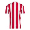 Camisola Olympiakos 100th Anniversary Homen 24/25