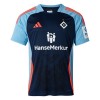 Camisola Hamburger SV Homen 24/25 - Especial