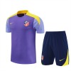 Atlético Madrid Criança Camisolas de Treino 2025-26 Roxo