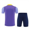 Atlético Madrid Criança Camisolas de Treino 2025-26 Roxo