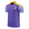 Atlético Madrid Homen Camisolas de Treino 2025-26 Roxo