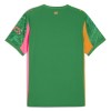 Camisola Guarda-Redes Manchester City Homen 2025-26 Verde