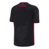 Camisola Albânia Homen Equipamento 3ª 2025-26