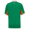 Camisola Irlanda Homen Equipamento 1ª 2025-26