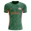 Camisola Guarda-Redes PSV Eindhoven Homen 2025-26 Verde