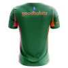 Camisola Guarda-Redes PSV Eindhoven Homen 2025-26 Verde
