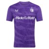 Camisola Guarda-Redes Feyenoord Homen 2025-26 Roxo