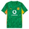 Camisola Guarda-Redes Borussia Dortmund Homen 2025-26 Verde