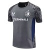 Feyenoord Homen Camisolas de Treino 2025-26 Cinza