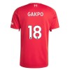 Camisola + Calções Liverpool Gakpo 18 Criança Equipamento 1ª 2025-26
