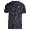 Camisola Internacional Homen Equipamento 3ª 2025-26