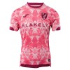 Camisola Norwich City Homen Equipamento 3ª 2025-26