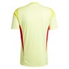 Camisola Guarda-Redes Aston Villa Homen 2025-26 Amarela