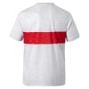 Camisola VfB Stuttgart Anniversary Homen 2025-26