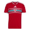 Camisola País de Gales Homen Equipamento 1ª Mundial 2026 Camisola País de Gales Homen Equipamento 1ª Mundial 2026