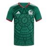 Camisola México Homen Equipamento 1ª Mundial 2026 Camisola México Homen Equipamento 1ª Mundial 2026