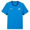 Camisola Islândia Homen Equipamento 1ª Mundial 2026 Camisola Islândia Homen Equipamento 1ª Mundial 2026