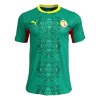 Camisola Senegal Homen Equipamento 2ª Mundial 2026 Camisola Senegal Homen Equipamento 2ª Mundial 2026