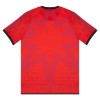 Camisola Venezia Homen Equipamento 4ª 2025-26
