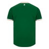 Camisola Irlanda Homen Equipamento 1ª 2026-27