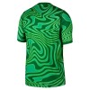 Camisola Guarda-Redes Brasil Homen Equipamento 1ª Mundial 2026 Verde