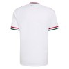 Camisola Hungria Homen Equipamento 2ª Mundial 2026