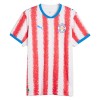 Camisola Paraguay Homen Equipamento 1ª Mundial 2026 Camisola Paraguay Homen Equipamento 1ª Mundial 2026