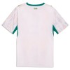 Camisola Senegal Homen Equipamento 1ª Mundial 2026