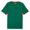 Camisola Senegal Homen Equipamento 2ª Mundial 2026