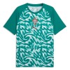 Camisola Portugal Pre-Match Homen Mundial 2026 Verde Camisola Portugal Pre-Match Homen Mundial 2026 Verde