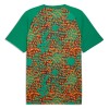 Camisola Costa do Marfim Pre-Match Homen Mundial 2026