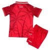 Camisola + Calções Haiti Criança Equipamento 3ª Mundial 2026
