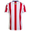 Camisola Chivas de Guadalajara 120th Jubileum Homen 2025-26