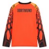 Camisola Guarda-Redes Borussia Dortmund Manga Comprida Homen Equipamento 1ª 2026-27 Laranja