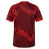 Camisola Internacional Homen Equipamento 3ª 2026-27