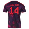 Camisola FC Bayern de Munique Luis Diaz 14 Homen Equipamento 3ª 2026-27