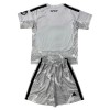 Camisola + Calções Guarda-Redes Real Madrid Criança 2026-27 Cinza