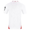 Camisola FSV Mainz 05 Homen Equipamento 2ª 2026-27
