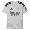 Camisola Guarda-Redes Benfica Homen 2026-27 Cinza Camisola Guarda-Redes Benfica Homen 2026-27 Cinza