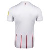 Camisola SC Freiburg Homen Equipamento 2ª 2026-27