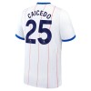 Camisola Chelsea Caicedo 25 Homen Equipamento 3ª 2026-27