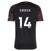 Camisola Liverpool Chiesa 14 Homen Equipamento 3ª 2026-27 Camisola Liverpool Chiesa 14 Homen Equipamento 3ª 2026-27